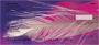 Golden Feather Personal Checks