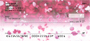 Falling Petals Personal Checks