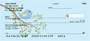 Feathered Friends Personal Checks