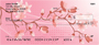 Oriental Sakura Blooms Personal Checks