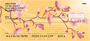 Oriental Sakura Blooms Personal Checks