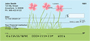 Flower Garden Personal Checks