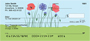 Flower Garden Personal Checks
