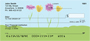 Flower Garden Personal Checks