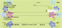 Open Blossoms Personal Checks