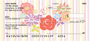 Floral Flair Personal Checks