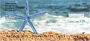 Stars of the Sea Personal Checks