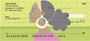 African Beauty Personal Checks