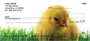 Spring Chicks Personal Checks