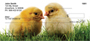 Spring Chicks Personal Checks