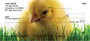 Spring Chicks Personal Checks