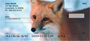 Foxy Personal Checks