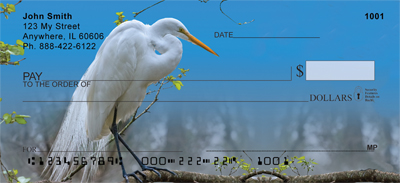 Great White Egret
