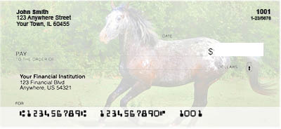 Appaloosa Checks