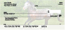 Appaloosa Personal Checks