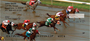 Racing The Ponies Personal Checks