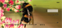 Bumblebees Personal Checks