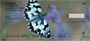 Butterfly Dreams Personal Checks