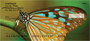Butterfly Dreams Personal Checks
