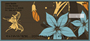 Designer Butterflies Personal Checks