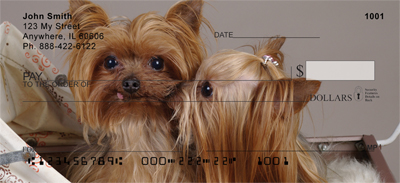 Yorkshire Terrier Puppies Checks