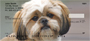 Lhasa Apso Puppy Personal Checks