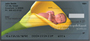 New Beginnings Personal Checks