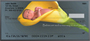 New Beginnings Personal Checks