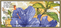 Hibiscus - Colorful Watercolor Personal Checks