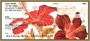 Hibiscus - Colorful Watercolor Personal Checks