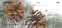 Pinecones In Snow Personal Checks