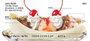 Sinful Sundaes Personal Checks