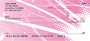 Hot Beginnings Personal Checks