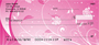 Hot Pink Nights Personal Checks