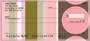 Sassy In Pink Personal Checks