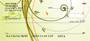 Tropical Filigree Foliage Personal Checks