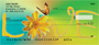Love Amour Personal Checks