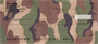 Camouflage - Coral Camos Personal Checks