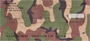 Camouflage - Coral Camos Personal Checks