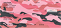 Camouflage - Pinks And Corals Personal Checks