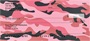 Camouflage - Pinks And Corals Personal Checks
