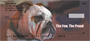 Bulldogs With Marine Attitude No 2 Personal Checks