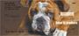 Bulldogs With Marine Attitude No 2 Personal Checks