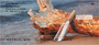 Message In Bottle Personal Checks