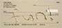 Messages In Sand Personal Checks