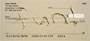 Vacation Sentiments Personal Checks