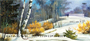 Aspen In Winter Personal Checks