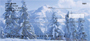 Snowy Winters Personal Checks