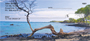Scenic Hawaii Personal Checks