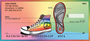 Rainbows For Peace Personal Checks